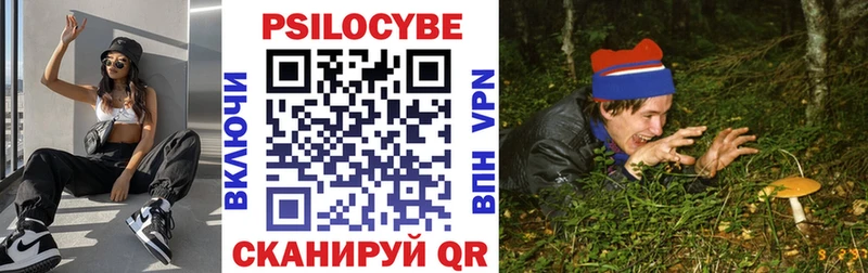 где купить   ОМГ ОМГ зеркало  Псилоцибиновые грибы GOLDEN TEACHER  Дмитров 