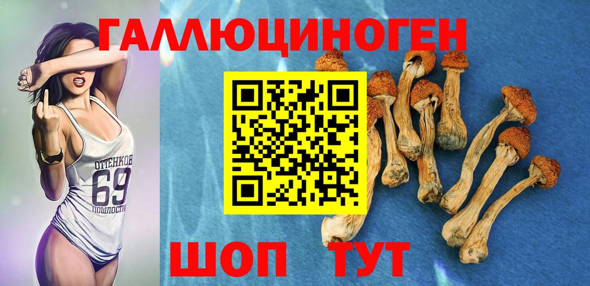Псилоцибиновые грибы прущие грибы  Вход с VPN  Дмитров 